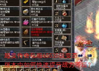 ���䴫��˽��65535����̬�汾����ο�������ս���ȼ���