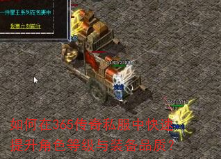 如何在365传奇私服中快速提升角色等级与装备品质? 如何在365传奇私服中快速提升角色等级与装备品质?
