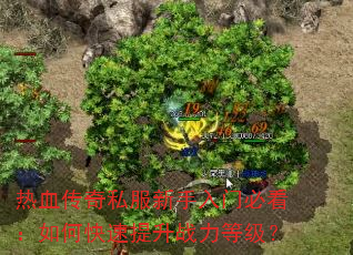 热血传奇私服新手入门必看:如何快速提升战力等级? 热血传奇私服新手入门必看:如何快速提升战力等级?