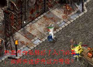 热血传奇私服新手入门必看:如何快速提升战力等级? 热血传奇私服新手入门必看:如何快速提升战力等级?