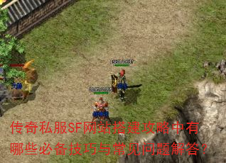 传奇私服SF网站搭建攻略中有哪些必备技巧与常见问题解答? 传奇私服SF网站搭建攻略中有哪些必备技巧与常见问题解答?
