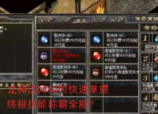 龙神法师如何快速掌握终极技能称霸全服? 龙神法师如何快速掌握终极技能称霸全服?
