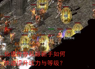 仙境传奇私服新手如何快速提升战力与等级? 仙境传奇私服新手如何快速提升战力与等级?