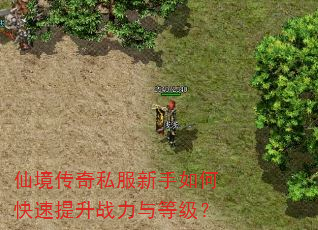 仙境传奇私服新手如何快速提升战力与等级? 仙境传奇私服新手如何快速提升战力与等级?