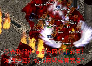 传奇私服电信发布网新手必看:如何快速升级与获取稀有装备? 传奇私服电信发布网新手必看:如何快速升级与获取稀有装备?