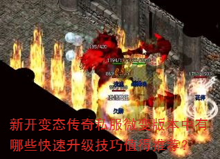 �¿���̬����˽��΢��汾������Щ������������ֵ���Ƽ���
