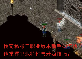 传奇私服三职业版本新手如何快速掌握职业特性与升级技巧? 传奇私服三职业版本新手如何快速掌握职业特性与升级技巧?
