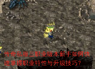 传奇私服三职业版本新手如何快速掌握职业特性与升级技巧? 传奇私服三职业版本新手如何快速掌握职业特性与升级技巧?