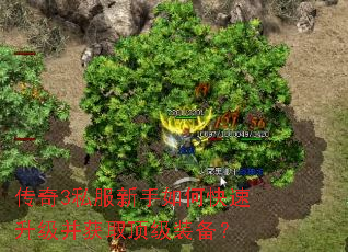传奇3私服新手如何快速升级并获取顶级装备? 传奇3私服新手如何快速升级并获取顶级装备?