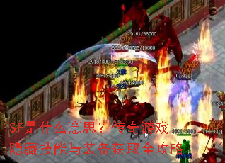 SF��ʲô��˼��������Ϸ���ؼ�����װ����ȡȫ����