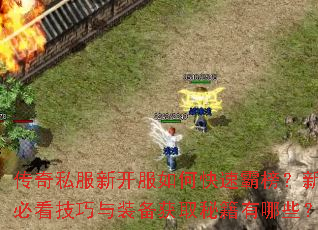 传奇私服新开服如何快速霸榜?新手必看技巧与装备获取秘籍有哪些? 传奇私服新开服如何快速霸榜?新手必看技巧与装备获取秘籍有哪些?