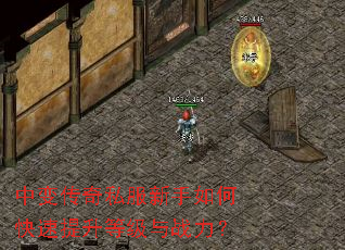 中变传奇私服新手如何快速提升等级与战力? 中变传奇私服新手如何快速提升等级与战力?