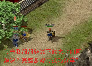 传奇私服服务器下载失败如何解决?完整步骤与技巧分享? 传奇私服服务器下载失败如何解决?完整步骤与技巧分享?