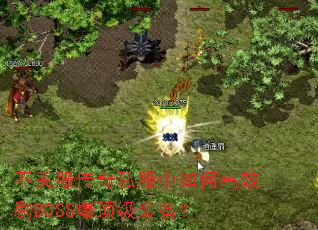 不关服传奇私服中如何高效刷BOSS爆顶级装备? 不关服传奇私服中如何高效刷BOSS爆顶级装备?