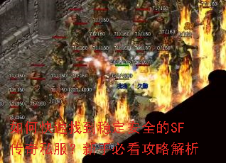 如何快速找到稳定安全的SF传奇私服?新手必看攻略解析 如何快速找到稳定安全的SF传奇私服?新手必看攻略解析
