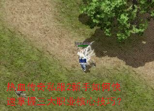 热血传奇私服2新手如何快速掌握三大职业核心技巧? 热血传奇私服2新手如何快速掌握三大职业核心技巧?