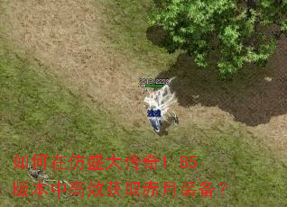如何在仿盛大传奇1.85版本中高效获取赤月装备? 如何在仿盛大传奇1.85版本中高效获取赤月装备?