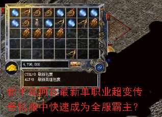 ������������µ�ְҵ���䴫��˽���п��ٳ�Ϊȫ��������