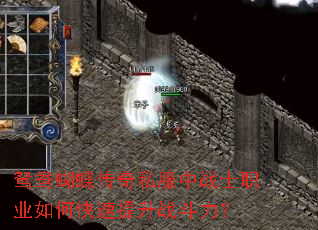 鸳鸯蝴蝶传奇私服中战士职业如何快速提升战斗力? 鸳鸯蝴蝶传奇私服中战士职业如何快速提升战斗力?