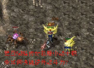 鸳鸯蝴蝶传奇私服中战士职业如何快速提升战斗力? 鸳鸯蝴蝶传奇私服中战士职业如何快速提升战斗力?