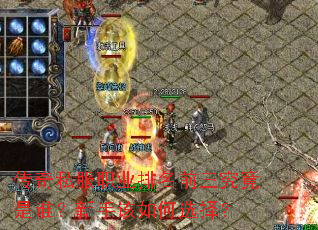 传奇私服职业排名前三究竟是谁?新手该如何选择? 传奇私服职业排名前三究竟是谁?新手该如何选择?