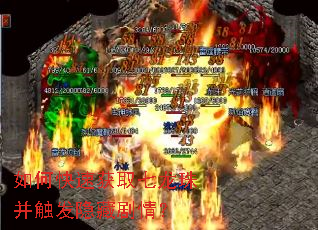 如何快速获取七龙珠并触发隐藏剧情? 如何快速获取七龙珠并触发隐藏剧情?