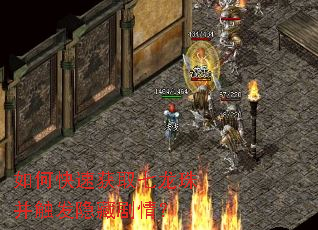 如何快速获取七龙珠并触发隐藏剧情? 如何快速获取七龙珠并触发隐藏剧情?