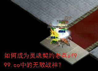 如何成为灵魂契约老兵sf999.co中的无敌战神? 如何成为灵魂契约老兵sf999.co中的无敌战神?