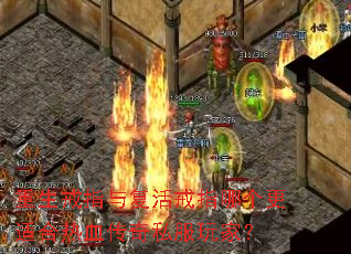 重生戒指与复活戒指哪个更适合热血传奇私服玩家? 重生戒指与复活戒指哪个更适合热血传奇私服玩家?