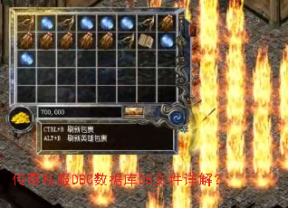 传奇私服DBC数据库DB文件详解? 传奇私服DBC数据库DB文件详解?