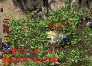 如何提高传奇1.76版本武器升级成功率? 如何提高传奇1.76版本武器升级成功率?