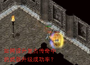 ����������Ŵ����е����������ɹ��ʣ�