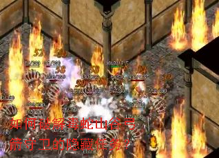 如何破解毒蛇山谷弓箭守卫的隐藏任务? 如何破解毒蛇山谷弓箭守卫的隐藏任务?