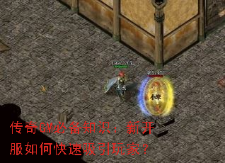 传奇GM必备知识:新开服如何快速吸引玩家? 传奇GM必备知识:新开服如何快速吸引玩家?