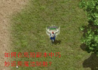 如何在高阶副本中巧妙运用魔法制胜? 如何在高阶副本中巧妙运用魔法制胜?