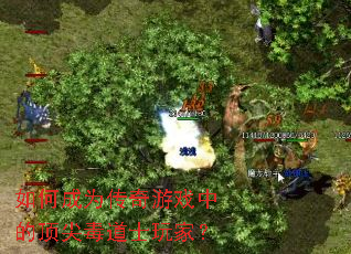 如何成为传奇游戏中的顶尖毒道士玩家? 如何成为传奇游戏中的顶尖毒道士玩家?