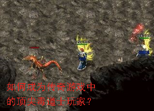 如何成为传奇游戏中的顶尖毒道士玩家? 如何成为传奇游戏中的顶尖毒道士玩家?