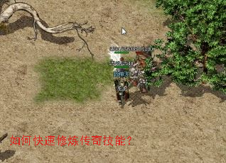 如何快速修炼传奇技能? 如何快速修炼传奇技能?