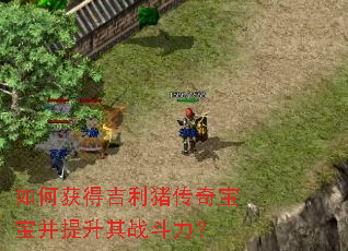 如何获得吉利猪传奇宝宝并提升其战斗力? 如何获得吉利猪传奇宝宝并提升其战斗力?