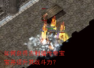 如何获得吉利猪传奇宝宝并提升其战斗力? 如何获得吉利猪传奇宝宝并提升其战斗力?
