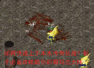 如何快速上手木木传奇私服?新手必备攻略助你称霸玛法大陆 如何快速上手木木传奇私服?新手必备攻略助你称霸玛法大陆
