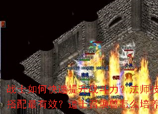 战士如何快速提升战斗力?法师技能如何搭配最有效?道士召唤兽怎么培养最强? 战士如何快速提升战斗力?法师技能如何搭配最有效?道士召唤兽怎么培养最强?