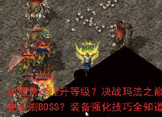 如何快速提升等级?决战玛法之巅有哪些必刷BOSS?装备强化技巧全知道 如何快速提升等级?决战玛法之巅有哪些必刷BOSS?装备强化技巧全知道