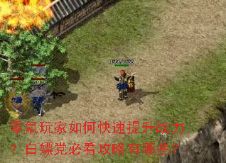 零氪玩家如何快速提升战力?白嫖党必看攻略有哪些? 零氪玩家如何快速提升战力?白嫖党必看攻略有哪些?