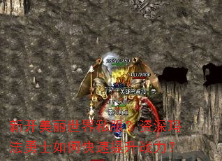 新开美丽世界私服?资深玛法勇士如何快速提升战力? 新开美丽世界私服?资深玛法勇士如何快速提升战力?
