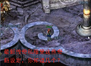 最新传奇私服里这些奇葩设定,你知道几个? 最新传奇私服里这些奇葩设定,你知道几个?