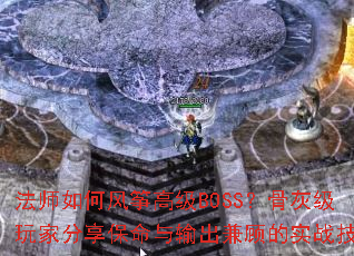 ��ʦ��η��ݸ߼�BOSS���ǻҼ���ҷ��������������˵�ʵս����