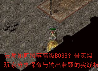 ��ʦ��η��ݸ߼�BOSS���ǻҼ���ҷ��������������˵�ʵս����