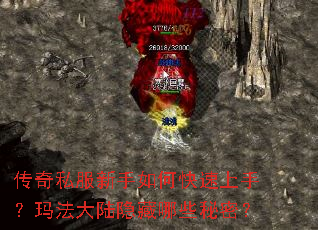 传奇私服新手如何快速上手?玛法大陆隐藏哪些秘密? 传奇私服新手如何快速上手?玛法大陆隐藏哪些秘密?