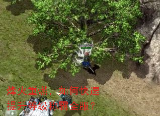 烽火重燃,如何快速提升等级称霸全服? 烽火重燃,如何快速提升等级称霸全服?